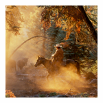 Cattle Drive Images